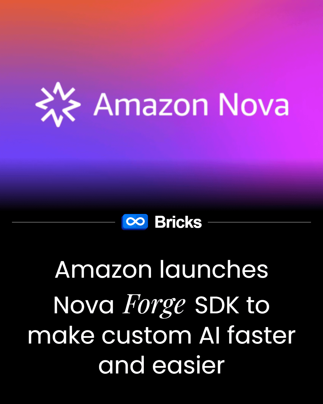 Garlic Flavoured Papad